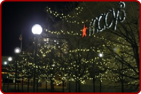 commercial Christmas light installer macys